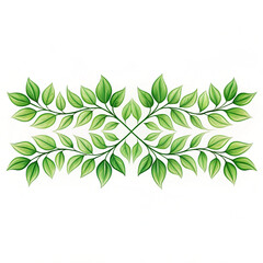 Symmetrical arrangement of green leaves and branches on a white background