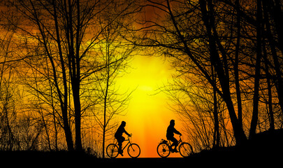 Cyclists in the park at sunset