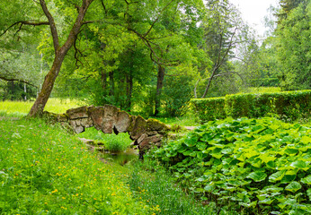 Humpbacked bridge in Pavlovsky Park, Pavlovsk, St. Petersburg, Russia