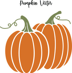 pumpkin vector illustration on a white background