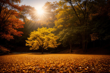 beautiful landscape of autumn forest at sunset, yellow trees and sunlight