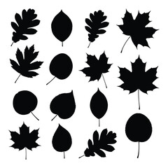 Collection of diverse autumn leaf silhouettes ideal for seasonal design projects and decorations silhouette