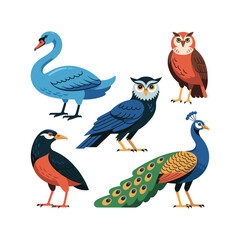 Colorful Birds Vector Set – Swan, Owl, Peacock and Exotic Birds Illustration Collection