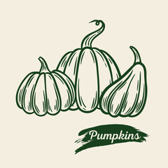 Image of pumpkins in engraving style