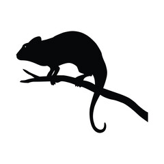 Silhouette of a chameleon perched on a branch, isolated on white background, showcasing its unique camouflage abilities