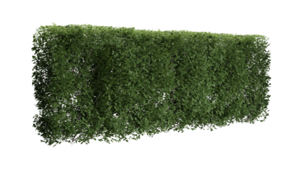 Green grass Fence wall on white Transparent background