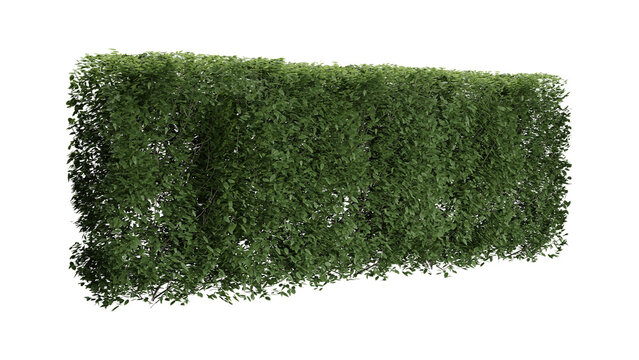 Green grass Fence wall on white Transparent background - Powered by Adobe