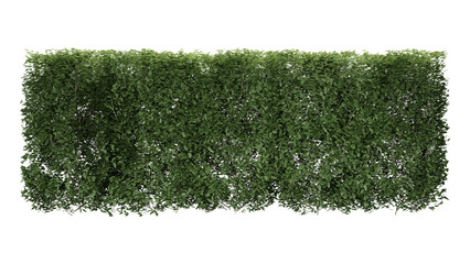Green grass Fence wall on white Transparent background