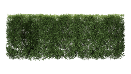 Green grass Fence wall on white Transparent background