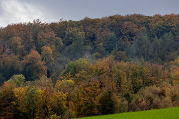 Autumn forest: Colorful treetops on the cloudy slope