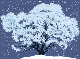 oak tree in blue snow under snowfall