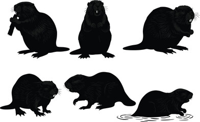 Beaver silhouette, beaver illustration, wildlife animal, forest beaver, river creature, beaver vector, nature artwork, animal design, sitting beaver, swimming beaver © Moslama