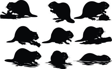 Beaver silhouette, wild beaver, river animal, beaver illustration, forest rodent, swimming beaver, nature artwork, wildlife vector, beaver clipart, animal design