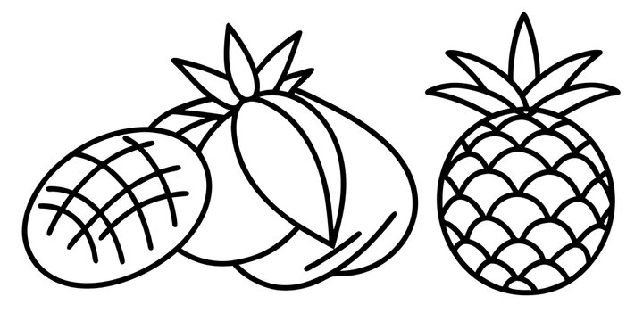 Fresh mango and pineapple line art icons tropical fruits drawing for design elements