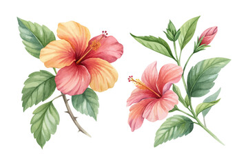 Watercolor Tropical Hibiscus Flower with Green Leaves 