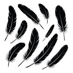 Collection of black feathers detailed textures isolated on white for design projects silhouette