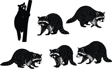Raccoon illustration, wild animal, woodland creature, raccoon drawing, wildlife art, raccoon silhouette, animal sketch, forest raccoon, nature artwork, detailed raccoon design