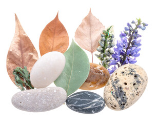 Delicate composition showcasing various natural elements including smooth stones of different sizes and colors alongside dried leaves and vibrant purple flowers, all arranged against a stark, black...
