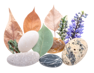 Delicate composition showcasing various natural elements including smooth stones of different sizes and colors alongside dried leaves and vibrant purple flowers, all arranged against a stark, black...