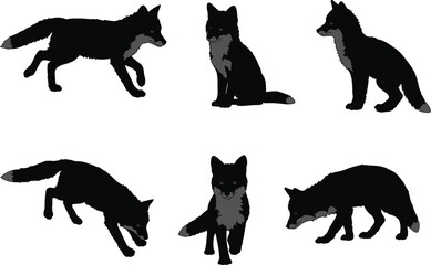 Wolf silhouette set, wild animal poses, running wolf, sitting wolf, standing wolf, hunting wolf, walking wolf, black wolf vector illustration design