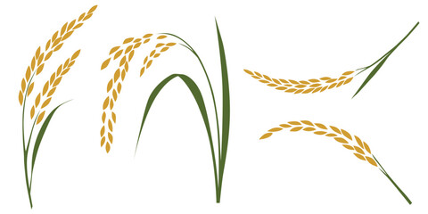 rice plants vector logo isolated on white background.