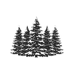Black and white snowy pine trees with string lights