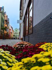 2024-10-25  ancient streets of Kamienna Gora  Poland © fotomaster