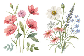 Watercolor Seasonal Wildflower Collection Isolated on White background