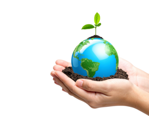  Nurturing Our World – Hands Cradling Globe with Fresh Green Growth for Environmental Awareness PNG