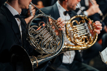 Two musicians in formal attire perform French horns with precision and elegance during a live orchestral concert, showcasing harmony, technique, and dedication