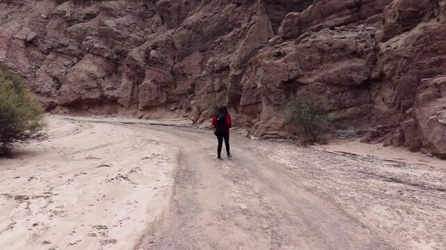 A woman walks through the Ca&ntilde;adon del Indio, Fiambala, Catamarca. The landscape shows rock formations, arid and clay soil, and the vast canyon.
