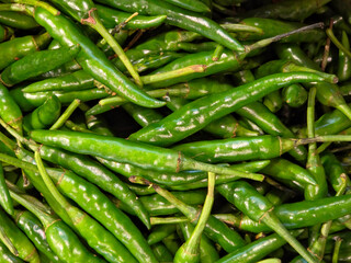 close-up of a dense, overflowing pile of fresh green chili peppers.