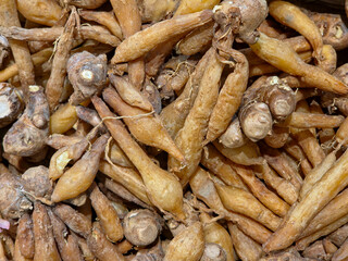 Close-up of a dense pile of fingerroot (Boesenbergia rotunda) rhizomes.