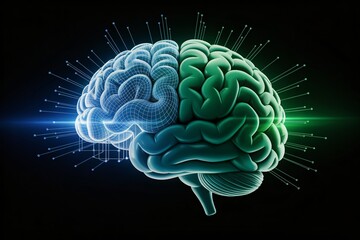 Digital brain illustration showcasing left and right hemispheres with connections