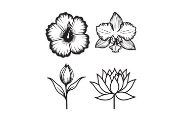 Collection of four hand drawn botanical flower illustrations