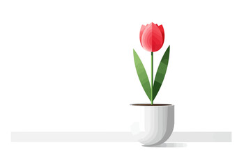 Single Red Tulip in a White Pot.
