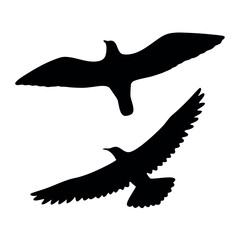 Two silhouetted birds soaring through the sky with wings spread wide