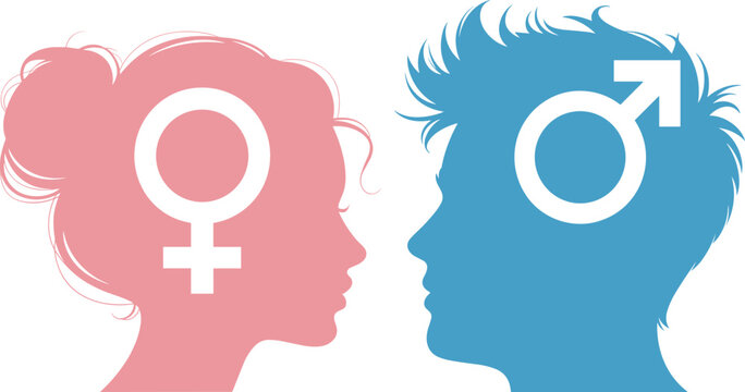 Male and female gender symbols illustration, human profile silhouettes, gender equality concept, relationship communication, sex differences, identity icons, psychology understanding, 