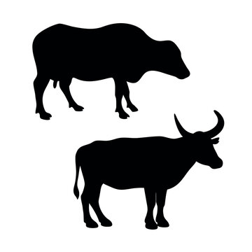 Two black silhouettes of water buffaloes standing against a white background