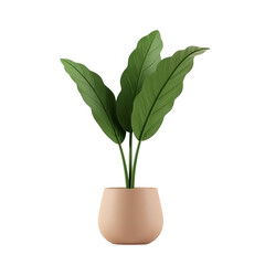 Lush green plant with prominent, large leaves gracefully extends from a softly colored ceramic pot against a stark black backdrop, evoking a minimalist and modern aesthetic.