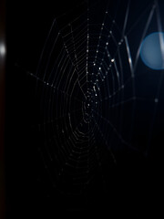 Naklejka premium Spiderwebs In Dark Room Closeup