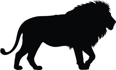 Majestic lion silhouette striding confidently powerful animal vector