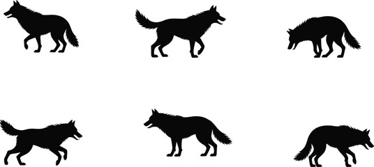 Wolf silhouette collection, wild animal vector set, walking and hunting poses, black wolf icons, wildlife illustration for design projects
