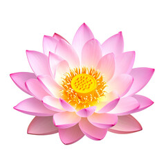 Fototapeta premium Single Pink Lotus Flower in Full Bloom, isolated on transparent background 