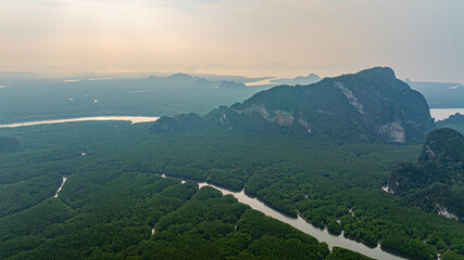 Amazing aerial view of a lush green mangrove forest intersected by winding canal, creating a unique and intricate natural landscape. The scene showcases the rich biodiversity of the coastal ecosystem