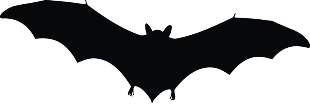 Spooky silhouette bat flying mysterious night halloween creature graphic vector