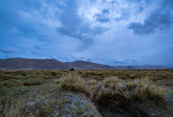 A wide-angle view of a highland grassland with scattered dry tufts of grass under a moody, overcast sky. The distant mountains and cool tones evoke a sense of isolation and untouched natural beauty.