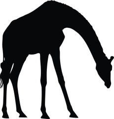 Elegant giraffe silhouette drinking water african safari wildlife vector art vector