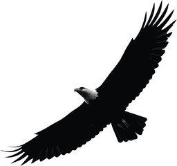 Majestic eagle soaring silhouette freedom power wild nature flight vector