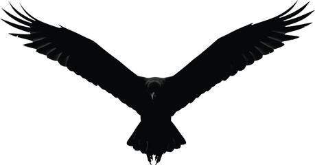 Majestic eagle silhouette in flight freedom power symbol vector art vector